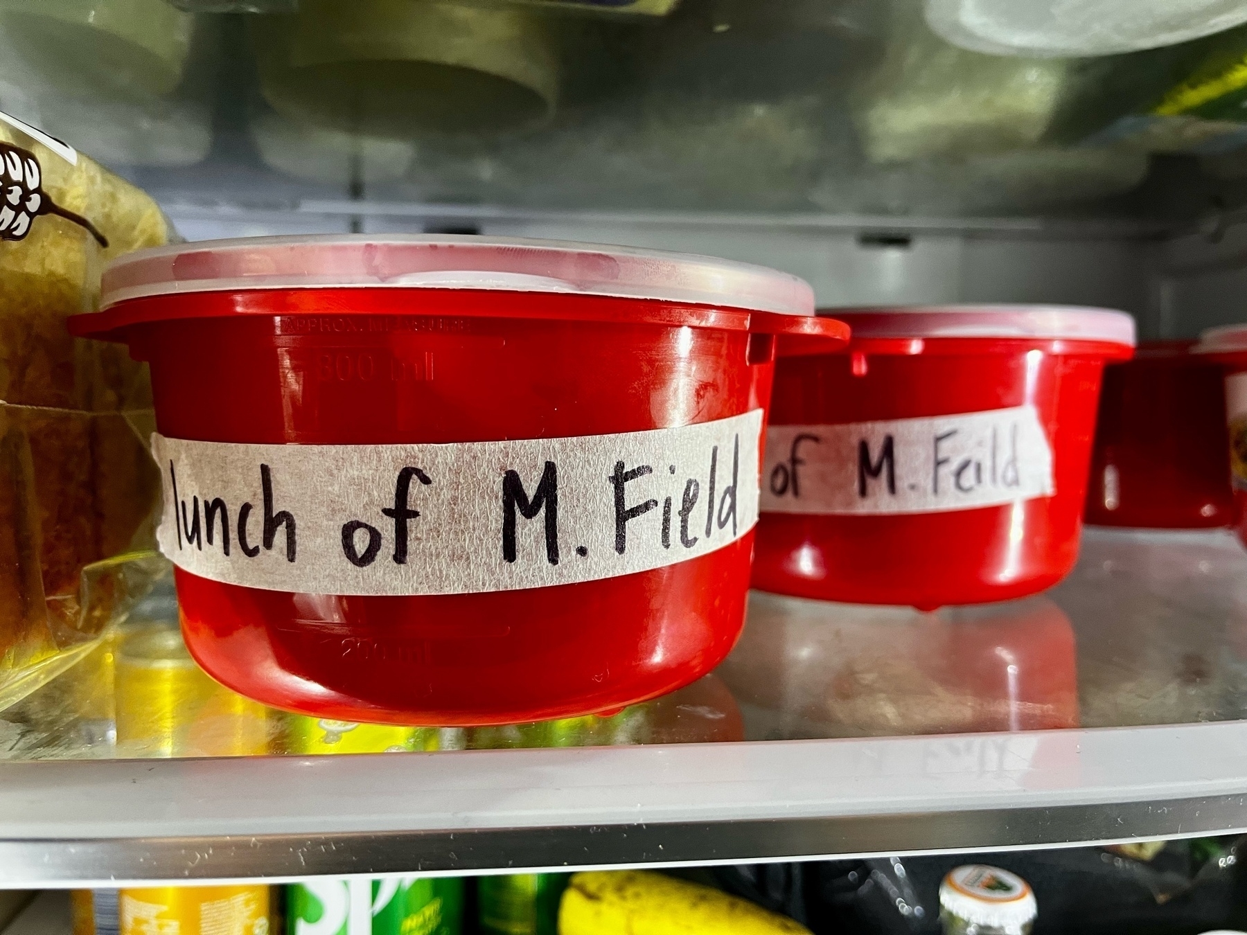 Two containers with the text 'lunch of Mr. Feld' deliberately misspelt as 'Field' and 'Feild'