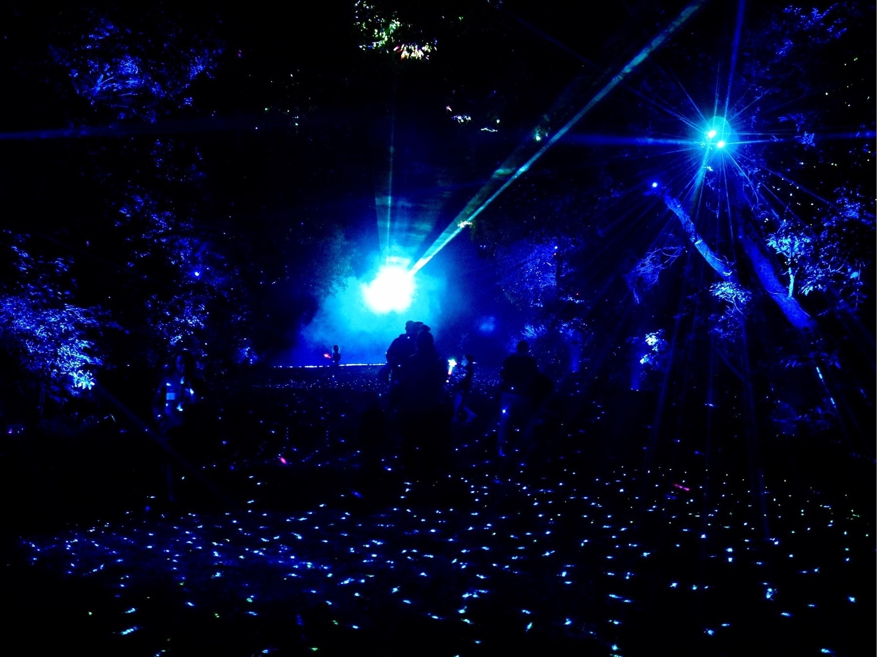 The effect of a starry night along a forest path with silhouettes of people in the distance