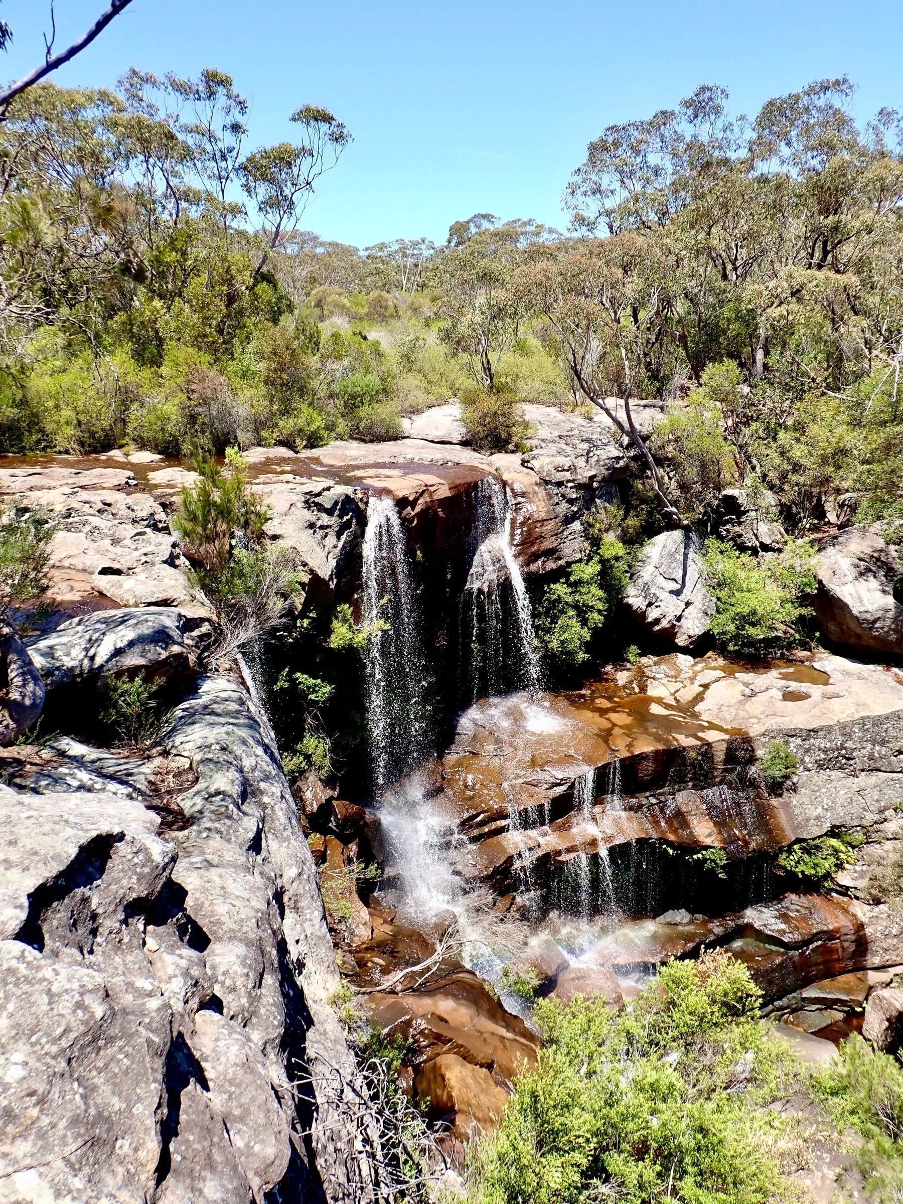 A rocky waterfall surrounded by gum trees