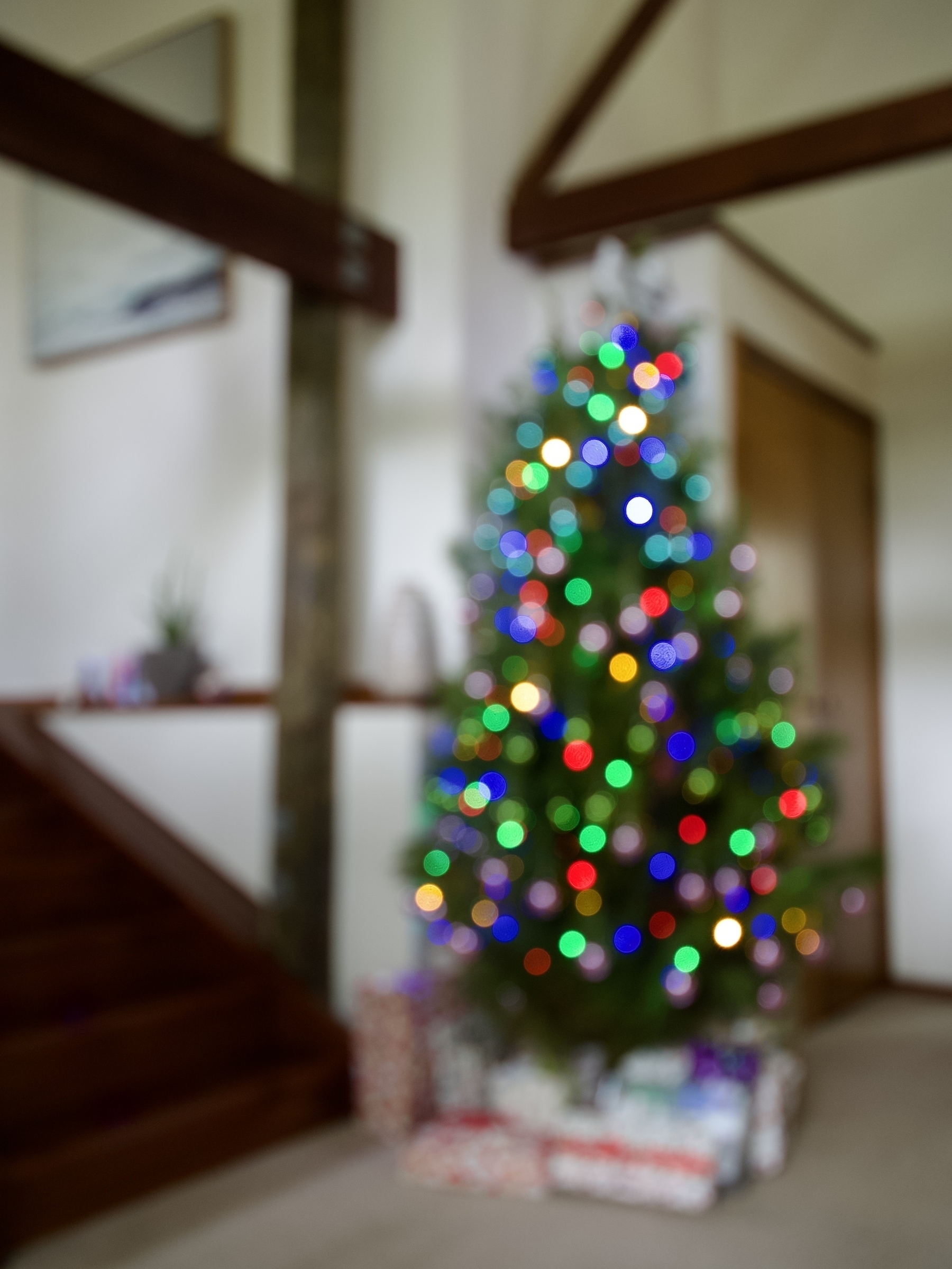 A blurred Christmas tree in a lounge room