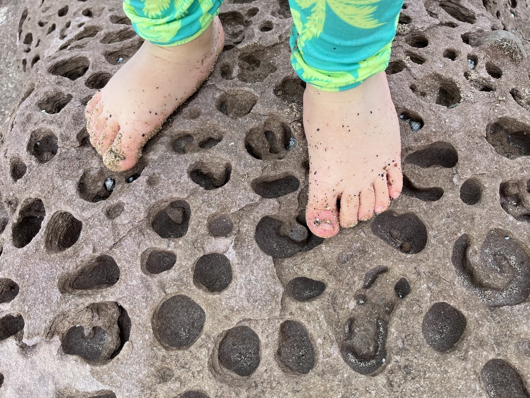 A toddler’s feet on a rock that’s full of eroded holes