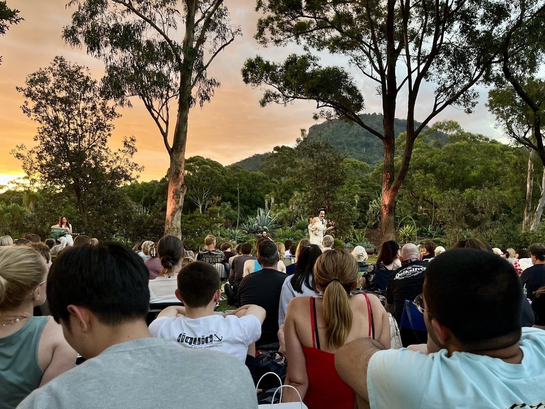 A crowd of people watching actors on a lawn under gum trees, with a mountain in the distance