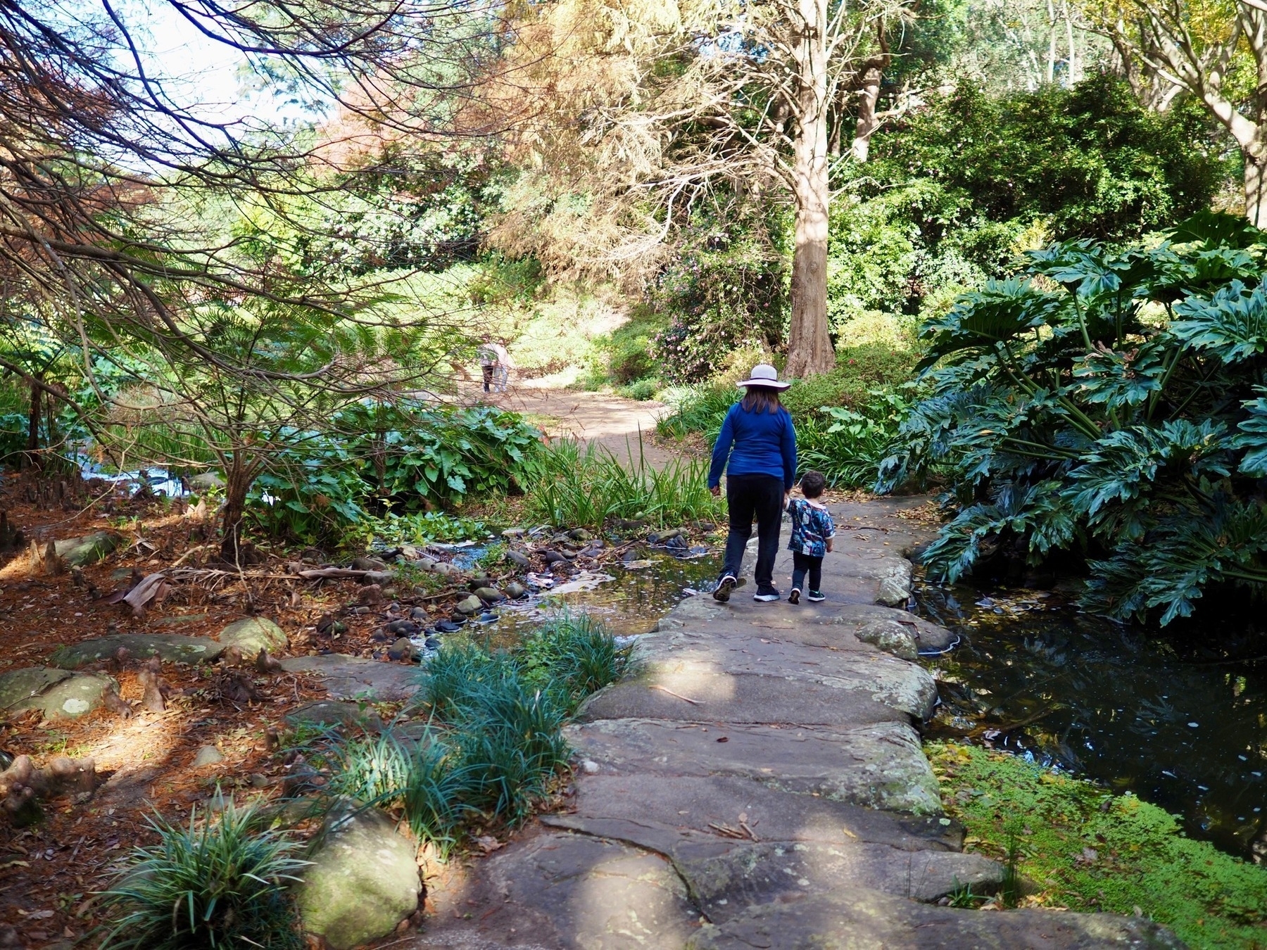 Grandmother and grandchild walking along a stone path through trees