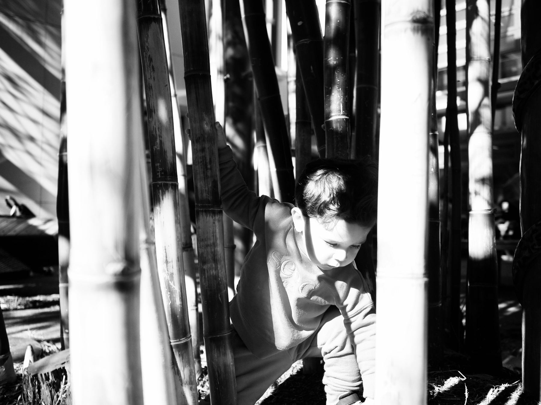A black-and-white image of a toddler squeezing through bamboo