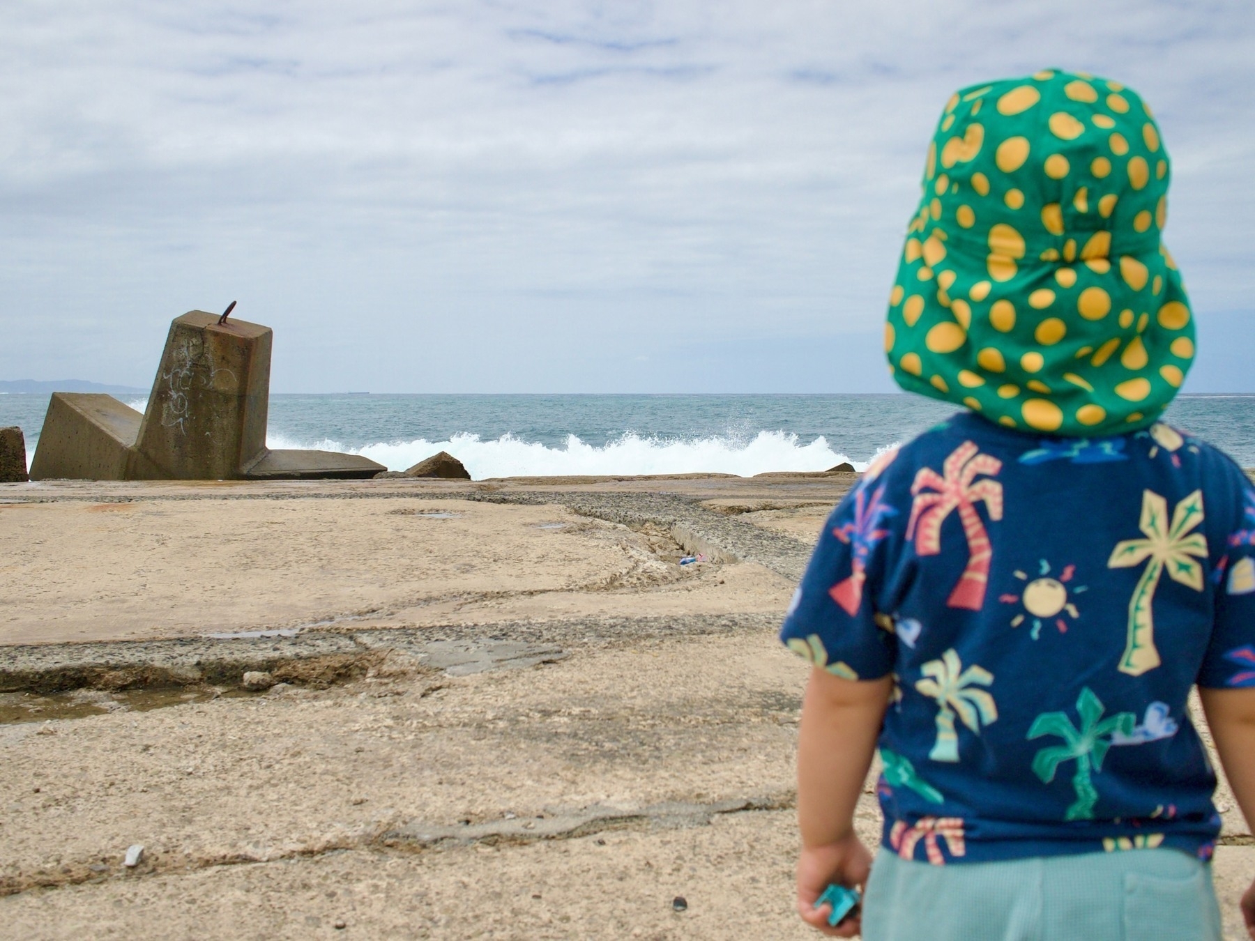 A toddler with a Dorothy the Dinosaur hat looks at a rock wall and the ocean.