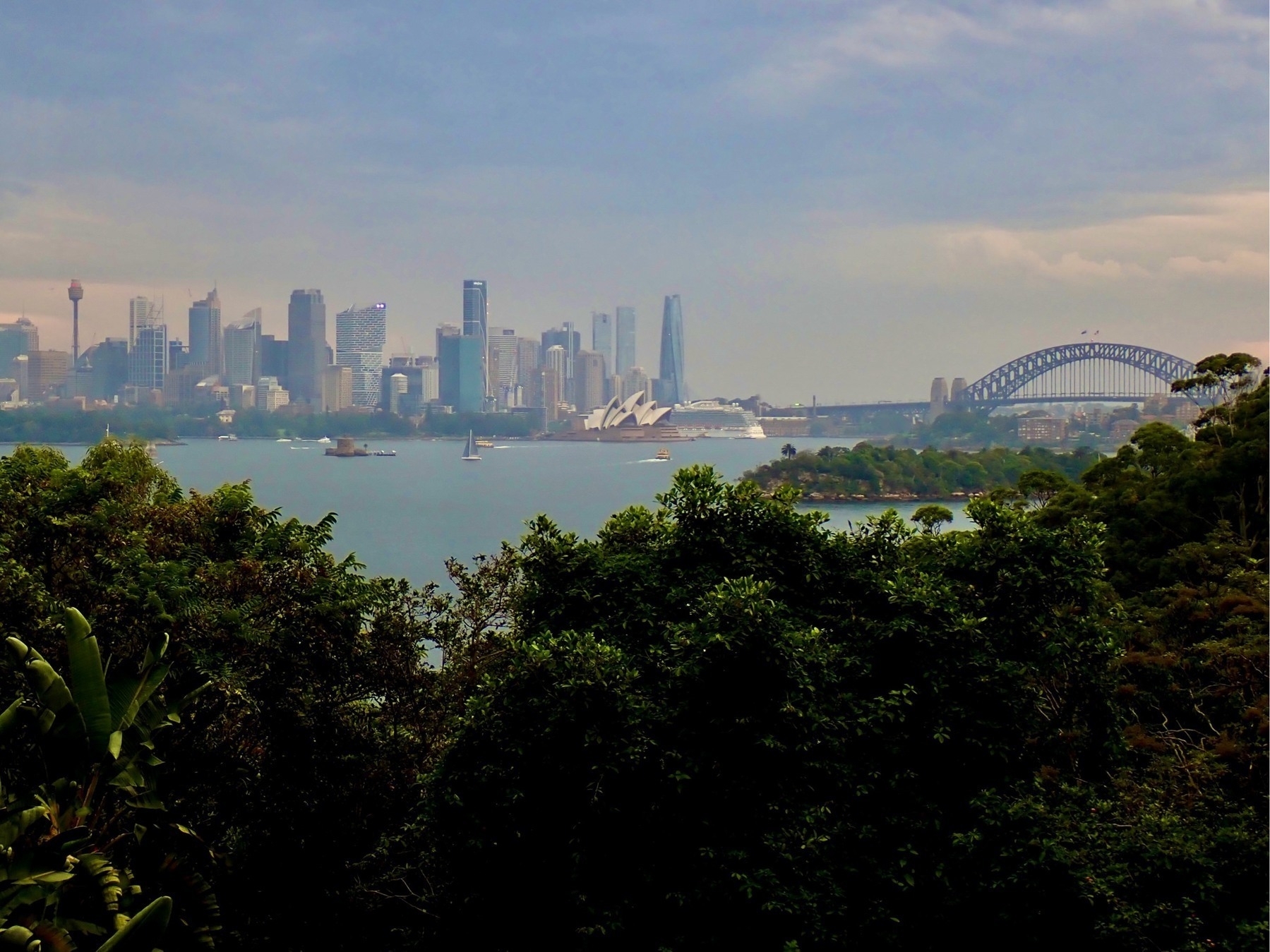 Trees in the foreground and the city of Sydney in the distance