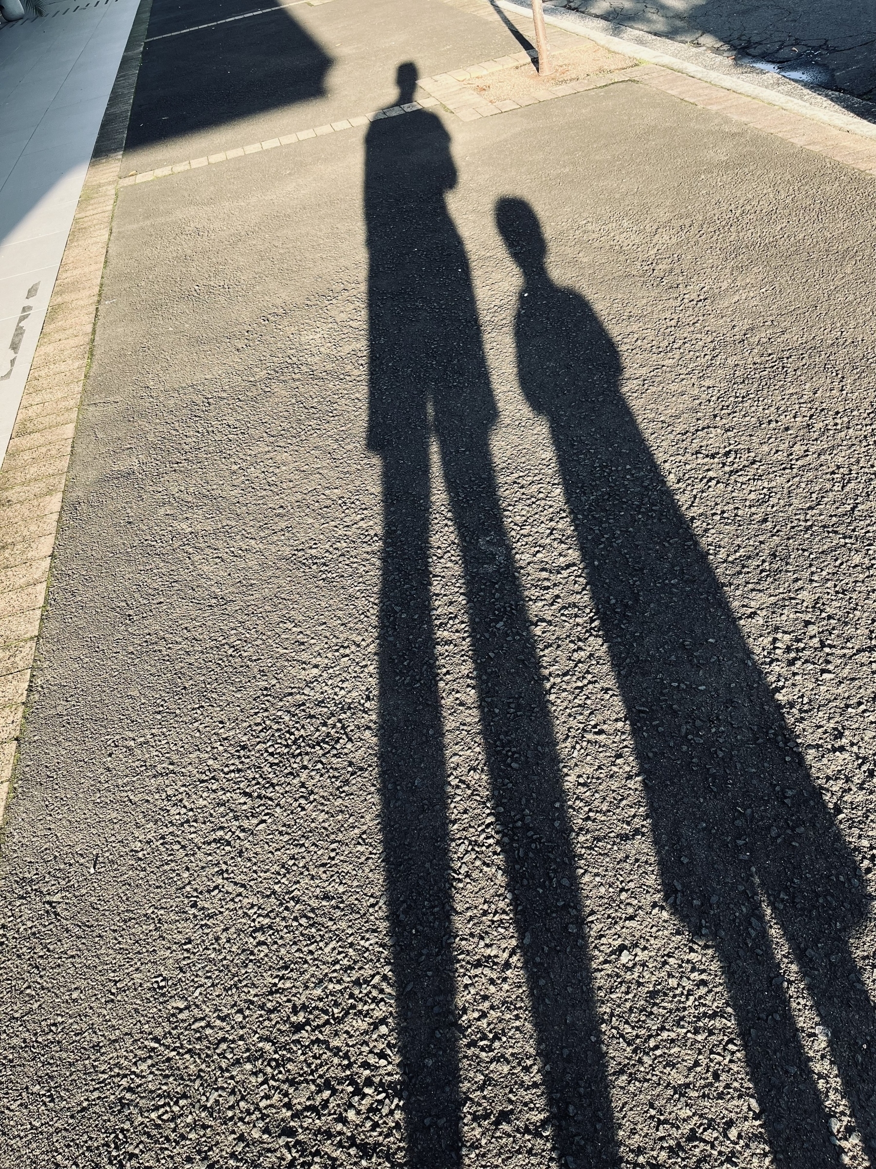 Two shadows stretch across a suburban footpath.