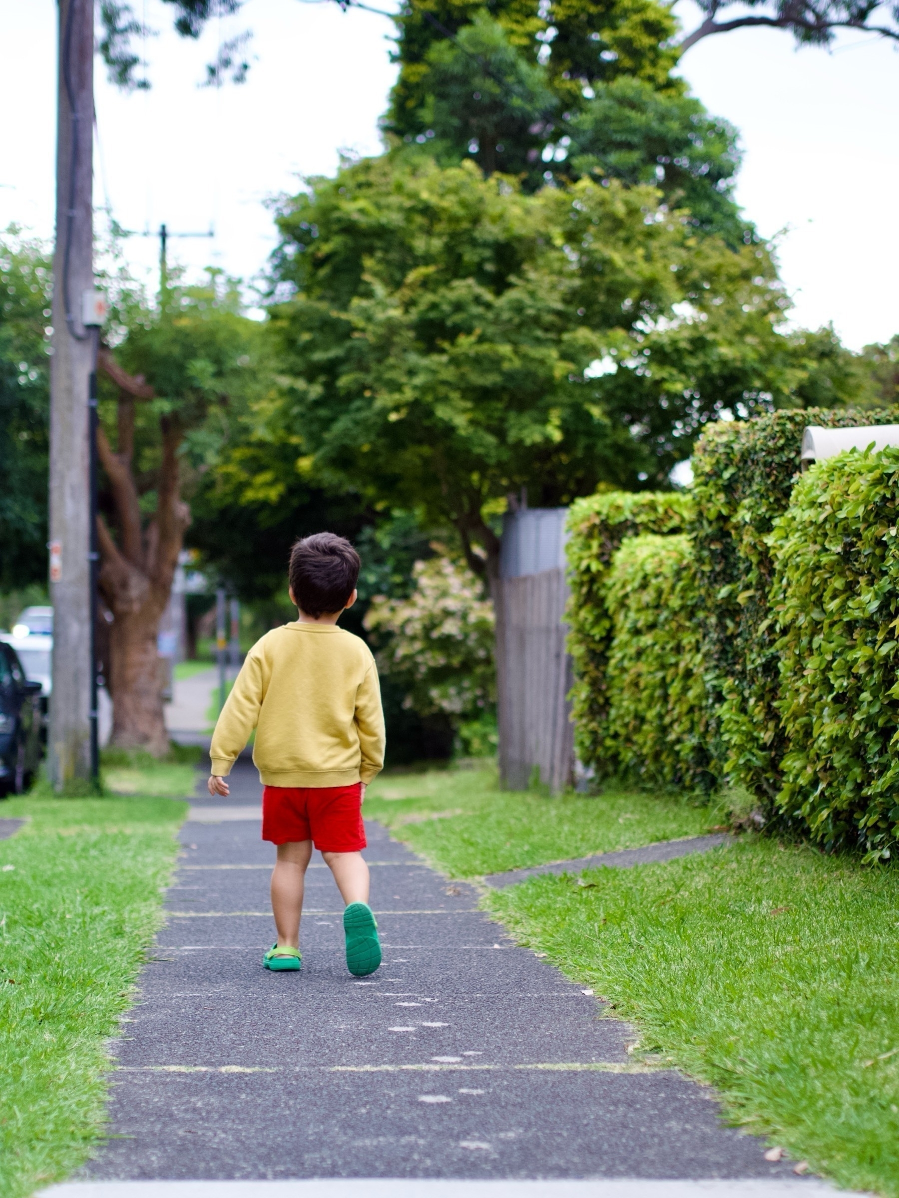 A young boy walks down a suburban footpath away from the camera and towards tall trees in the distance.