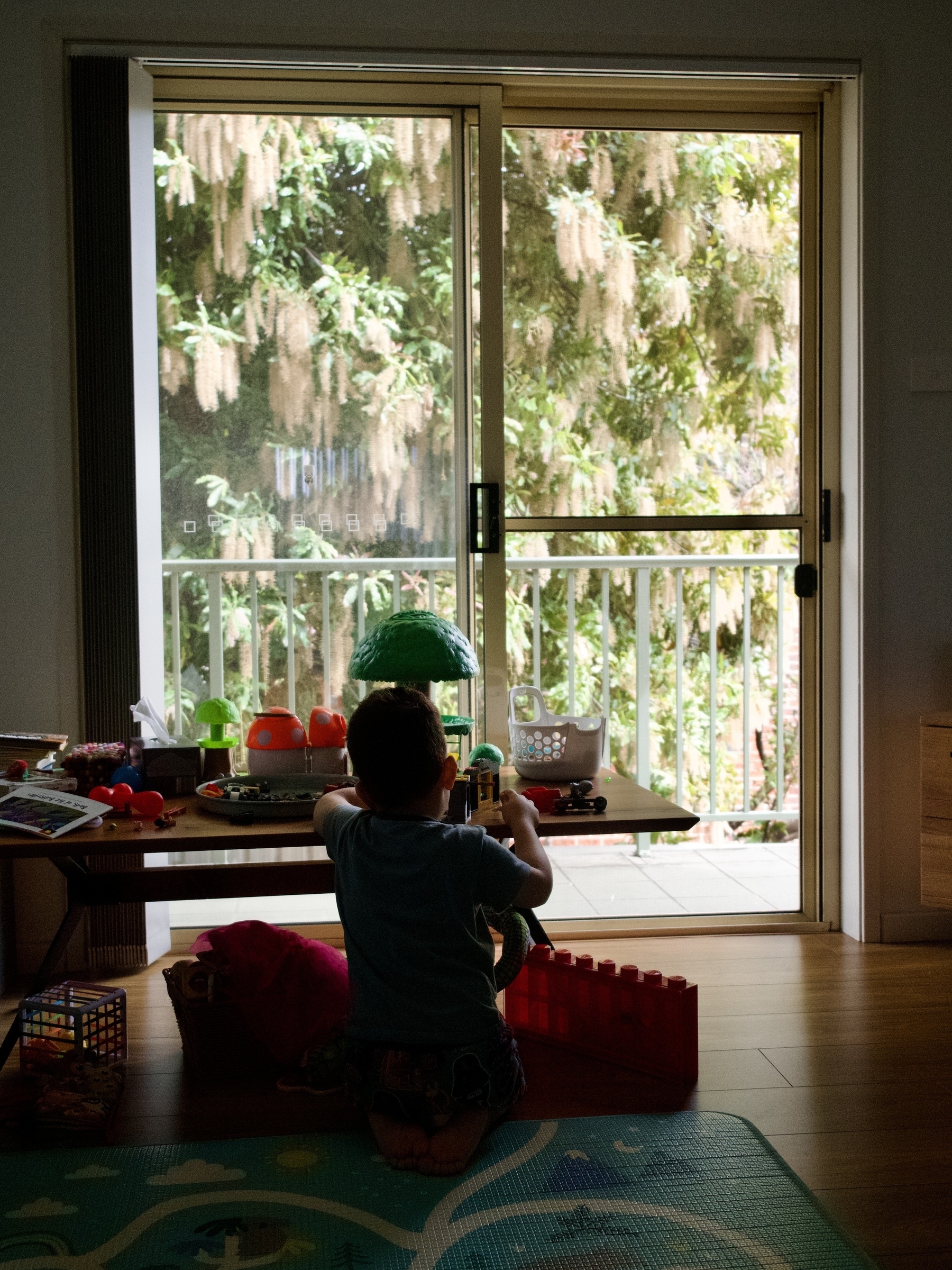 A young boy with his back to the camera, surrounded by toys and with a flowering tree in the background outside