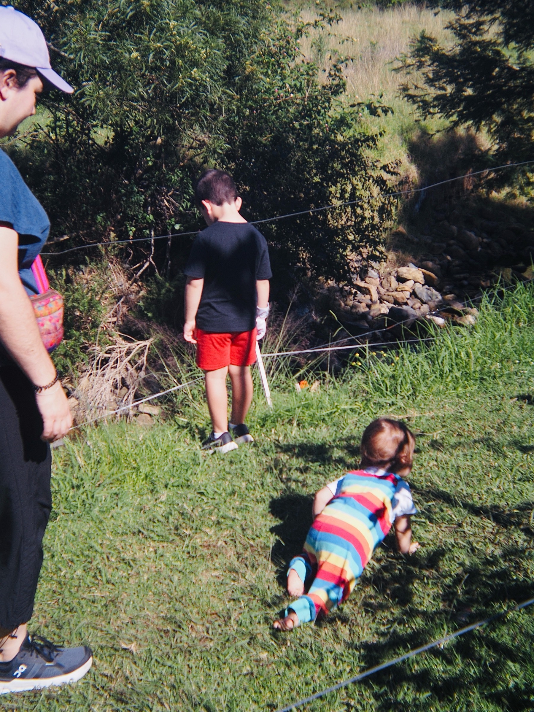 A mother, son and crawling infant daughter explore next to a creek.