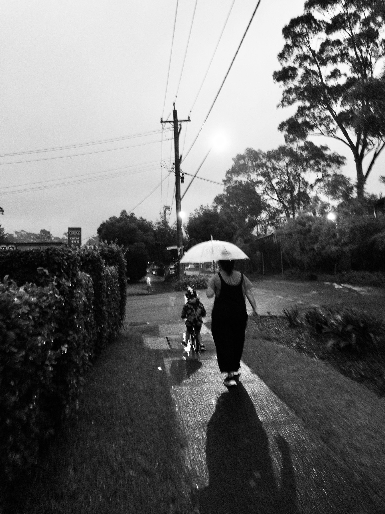 A monochromatic portrait image of a woman walking with an umbrella and a boy riding a balance bike down a suburban street, with a hedge to the left, towerinf eucalypts to the right and and interesection with power lines in the distance