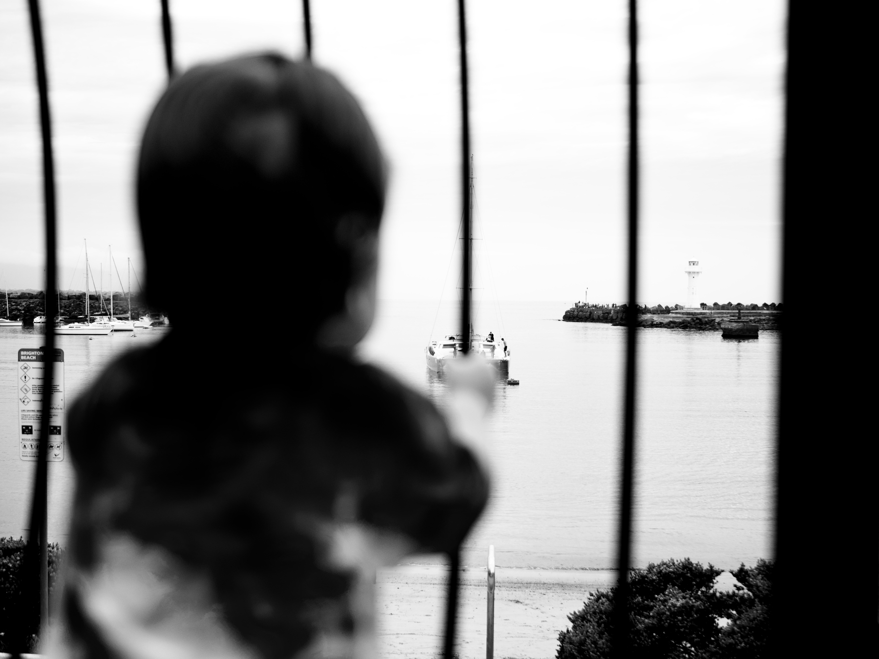 Shot from behind, a toddler looks through a metal fence over a harbour, with a breakwater and lighthouse in the distance.